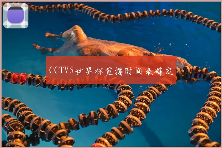 CCTV5世界杯重播时间表确定