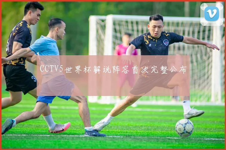 CCTV5世界杯解说阵容首次完整公布