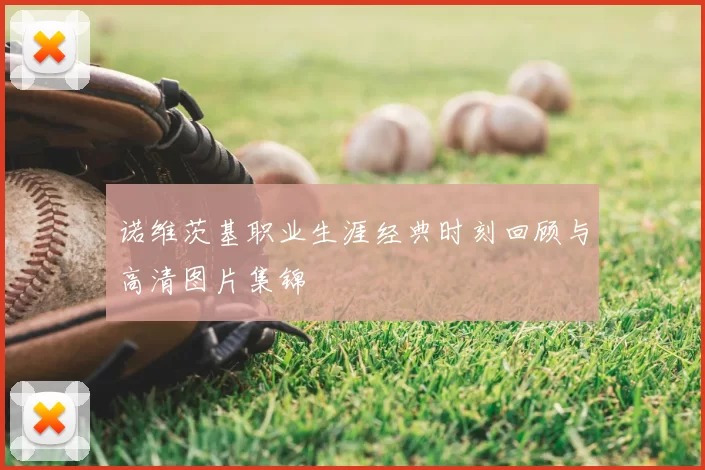 诺维茨基职业生涯经典时刻回顾与高清图片集锦