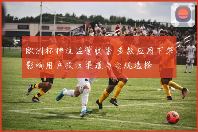 欧洲杯押注监管收紧 多款应用下架影响用户投注渠道与合规选择
