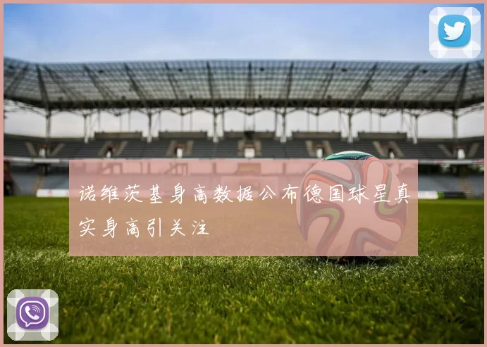 诺维茨基身高数据公布德国球星真实身高引关注