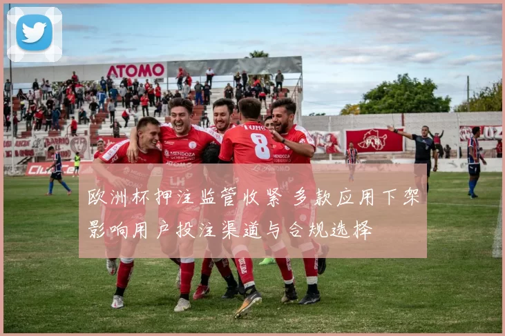 欧洲杯押注监管收紧 多款应用下架影响用户投注渠道与合规选择