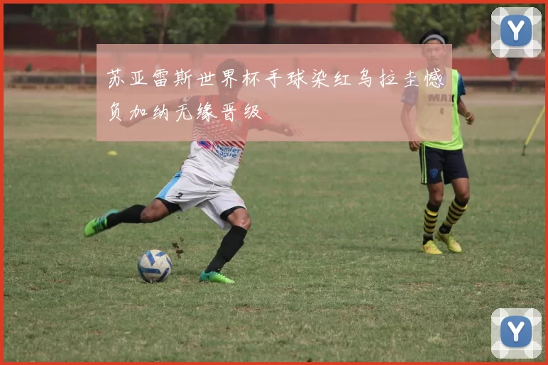 苏亚雷斯世界杯手球染红乌拉圭憾负加纳无缘晋级