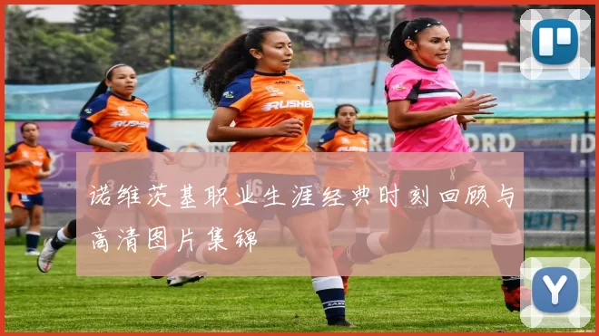 诺维茨基职业生涯经典时刻回顾与高清图片集锦