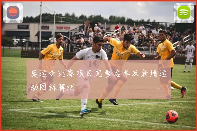 奥运会比赛项目完整名单及新增运动图标解析