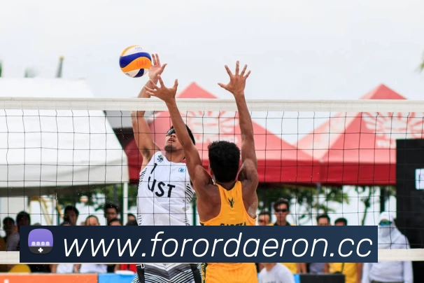 mk官方网页版 - mk(中国)平台生态图