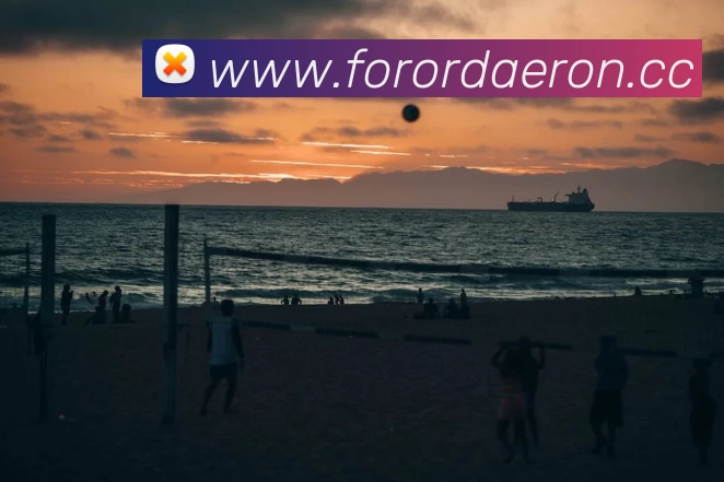 mk官方网页版 - mk(中国)全站App